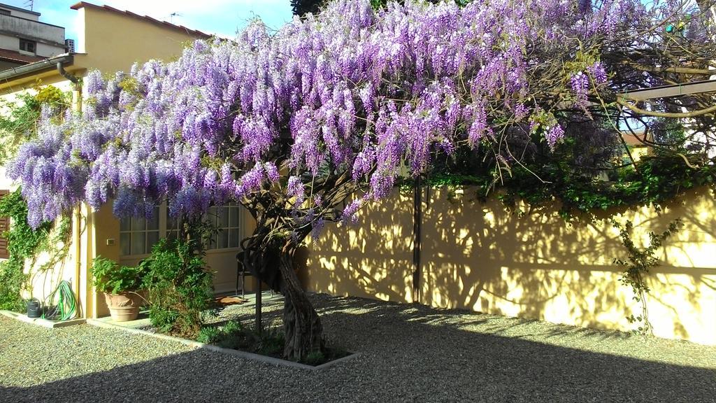 Villino Fiorentino Floransa Dış mekan fotoğraf